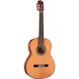 Гитара классическая CORDOBA C9 CD W/C