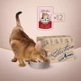 Влажный корм Club 4 Paws Premium Selection Cat Strips Beef in Broccoli Cream Soup полоски с говядиной в крем-супе для котов 12х85 г (4820215368100) фото 7