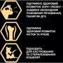 Сухой корм Pro Plan Original Kitten с курицей 400 г (7613036545099): Возраст Котята