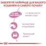 Влажный корм для новорожденных котят Royal Canin Mother & Babycat Cans 195 г (4098002): Класс Супер премиум