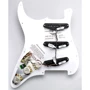 Пикгард со звукоснимателями DIMARZIO FG2108WA3 HS STRAT SET: Тип Пикгард панели
