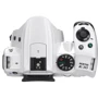 Pentax K-30 Body White: Количество мегапикселей 16.2