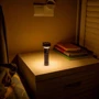 Ліхтар туристичний Olight Prowess black (2370.44.97) фото 12