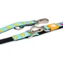 Повідець для собак Max & Molly Multi-Function Leash - Ducklings S (4894512020382): Тип Поводок