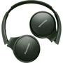 Навушники Panasonic RP-HF410BGC-G: Тип кріплення оголовние