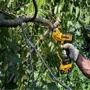 Секатор DeWalt DCMPP568P1 фото 5