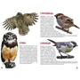 Велика книжка. Птахи: ISBN 978-966-936-030-4