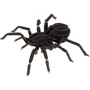 Павук Spider Fridolin 3D модель