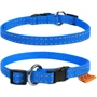 Ошейник Collar Dog Extremе 10 мм 20-30 см голубой (4820082494261): Производитель Collar