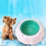 Миска Frosty Bowl для воды с охлаждающим гелем для домашних питомцев (164-12322309): Тип Миски