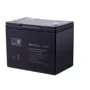 MWC CARBON 12V-80Ah (MWC 12-80C): Технология AGM