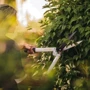 Ножницы для кустарников Fiskars White HS53 (1026931): Тип ножницы