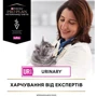 Влажный корм для котов Pro Plan Veterinary Diets UR Мочекаменная болезнь 3х195 г (8445290093431): Основные ингредиенты Индейка