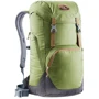 Рюкзак Рюкзак Deuter Walker 24 колір 2443 pine-graphite (3810717 2443)