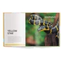 Joanna Zoelzer: Why bees do not see red and we sometimes feel blue. 150 Facts About Colours: ISBN 9783961713653