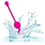 CalExotics Rechargeable Dual Kegel вагинальные шарики 9x3.2 см, фиолетовый
