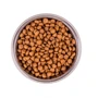 Сухой корм для котов Monge BWild Grain Free Buffalo Large Breeds All Life Stages с мясом буйвола для крупных кошек на всех стадиях жизни 1.5 кг (70012065): Класс Холистик
