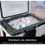 Термобокс Ninja FrostVault 42L Hard Cooler FB245EUWH: Місткість 32 банки со льдом и 64 без него