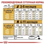 Сухой корм Royal Canin French Bulldog Puppy для щенков французского бульдога 3 кг (3990030): Возраст Щенки