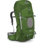 Рюкзак Osprey Aether 60 Bonsai Green (LG): Виробник Osprey