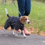 Комбинезон Pet Fashion RAIN XL красный (4823082425570): Длина спины 41-43 см