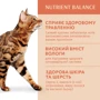 Влажный корм Optimeal Adult cats для взрослых кошек, с кроликом в белом соусе 12x0.34 кг (4820083907456): Основные ингредиенты Курица, Кролик