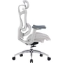 Офисное кресло Sihoo DORO C300L Mesh White (DORO-C300L-A3-102)