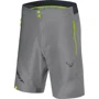 Шорты Dynafit TRANSALPER LIGHT DST M SHORTS 70868 0731 - 50/L - Gray (016.002.0619)