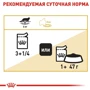 Влажный корм для котов Royal CanIn Maine Coon породы Мейн-кун 85 г (2031001): Вес упаковки 85 г