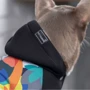 Толстовка Pet Fashion The Coolest XS2 (4823082420339: Размер XS
