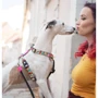 Шлейки для собак Max & Molly H-Harness - Missy Pop S (4894512020894) фото 2