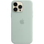Чехол для iPhone Apple Silicone Case with MagSafe Succulent (MPTY3) for iPhone 14 Pro Max: Цвет зеленый