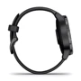 Смарт-часы Garmin Vivoactive 4S Slate Stainless Steel Bezel with Black Case and Silicone Band (010-02172-13): Производитель Garmin