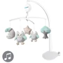 Музична карусель BabyOno для ліжечка Сова Софія (443)