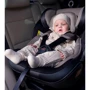 Автокресло Carrello Asteroid Space Black 0-36 кг (CRL-12801/2 Space Black): Вес ребенка 0 до 36 кг