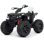Детский электроквадроцикл Bambi Racer M 4795EBLR-1 до 30 кг