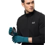 Перчатки Jack Wolfskin Allrounder Glove M синие (1910791_4133): Пол Унисекс