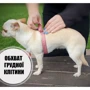 Шлея HiDog Comfort Boha green 54-60 см XL разноцветная (140\1004) фото 4