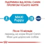 Сухой корм для щенков Royal Canin Maxi Puppy крупных пород 4 кг (30060400): Класс Супер премиум