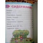 Правила безпечної поведінки на вулиці: ISBN 978-5-04-095890-0