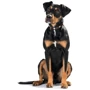 Ошейник круглый Hunter Softie Alu-Strong кожаный S-М 26 мм 35-40 см коричневый (4016739428271): Цвет коричневый