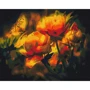 Картина по номерам Brushme Цветочный контраст 40x50 см (BS22025)