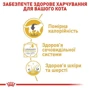 Вологий корм Royal Canin British Shorthair Adult для дорослих кішок британської короткошерстної породи 85 г (9003579001257): Клас супер преміум