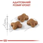 Сухий корм Royal Canin Kitten для кошенят 4 кг (2522040): Основні інгредієнти Курица