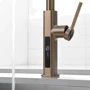 Смеситель для кухни Lefton Waterfall & Pull-Out Kitchen Faucet with Temperature Display-KF2209 Brushed Brass: Вид монтажа Врезной