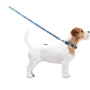 Ошейник WAUDOG Nylon с QR-паспортом, рисунок "Этно синий" 25 мм 31-49 см синий (4584): Длина 31-49 см