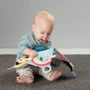 Развивающая книжка-раскладушка Taf Toys Мои эмоции (12545)