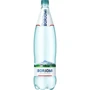 Минеральная вода Боржоми, газированная, 1.25 л (WT4174)
