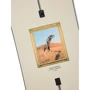 Дошка для сноуборду BURTON (2359512) GOOD COMPANY 2025 BEIGE/BLACK 155 см (9010510757739): Форма Twin