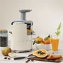 Соковыжималка Smeg SJF01CREU: Тип шнековая